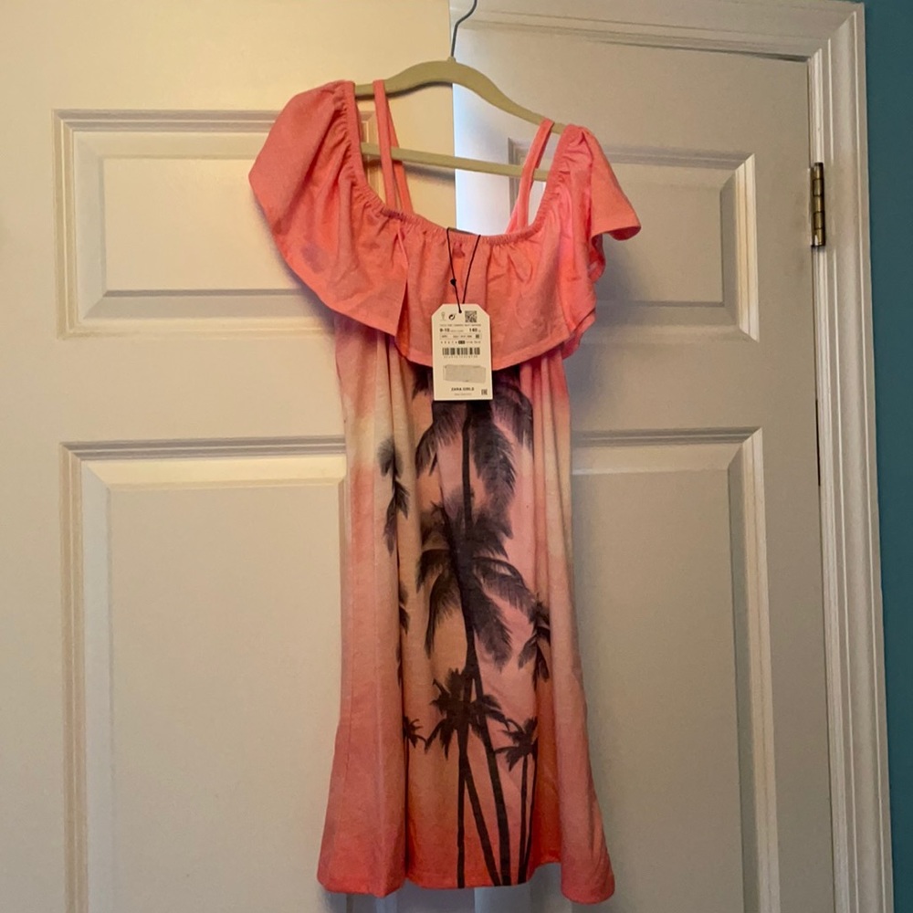 NWT Zara kids dress